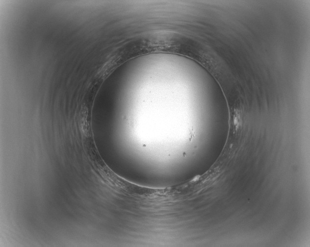 X0000067330867200604030931