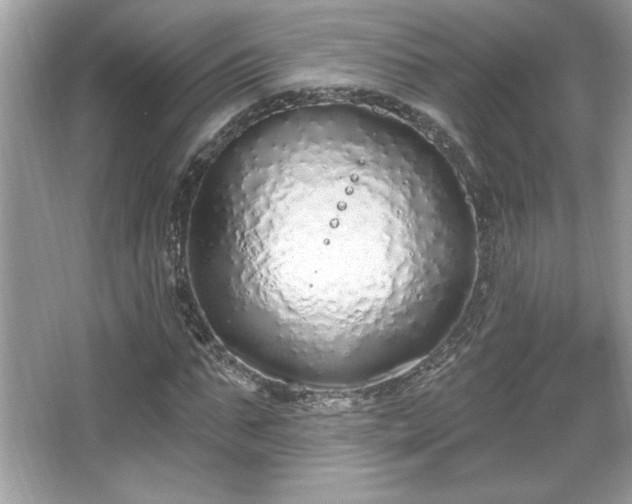 X0000067330871200604030930