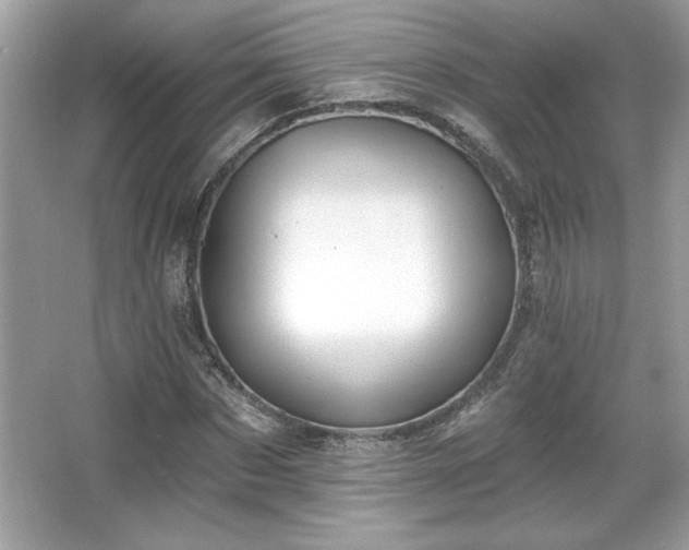 X0000067330873200604030930