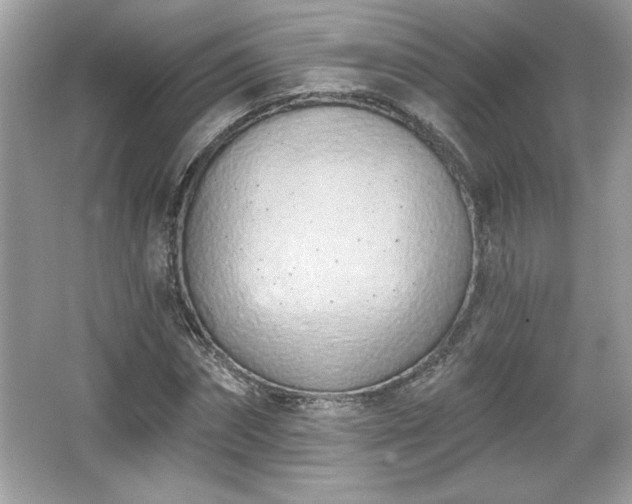 X0000067330874200604030930
