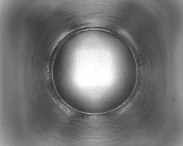X0000067330875200604030930