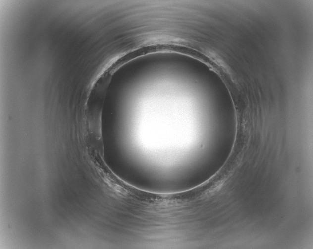 X0000067330877200604030930