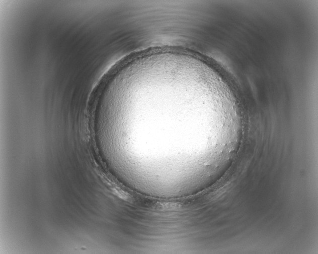 X0000067330878200604030930