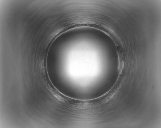 X0000067330881200604030930