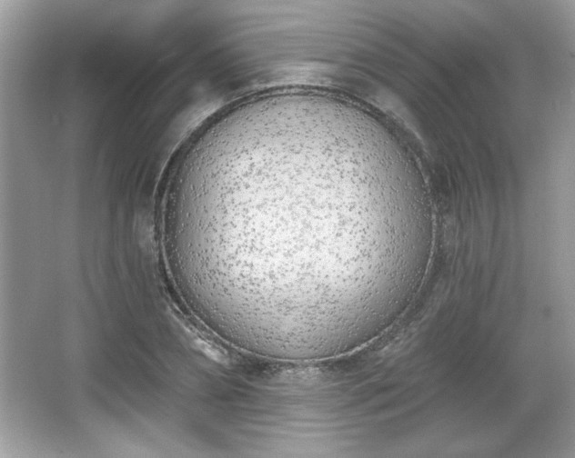 X0000067330882200604030930