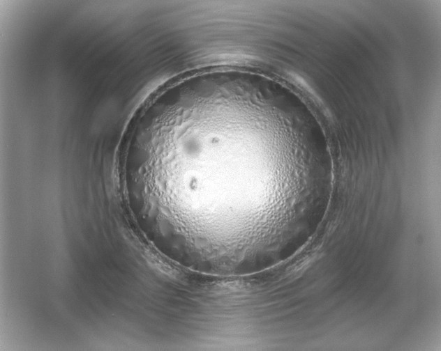 X0000067330883200604030930