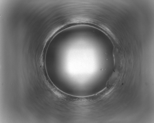 X0000067330885200604030930