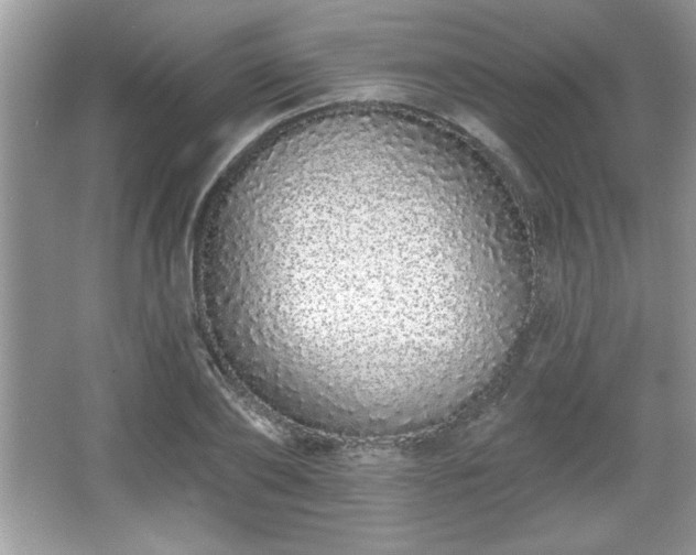 X0000067330886200604030930
