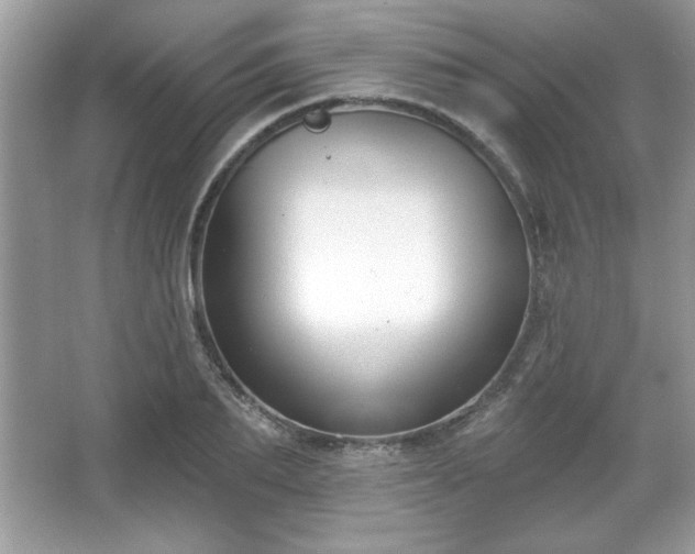 X0000067330887200604030930