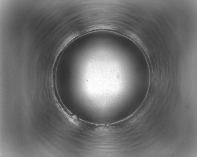X0000067330898200604030930