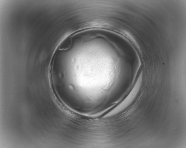 X0000067330899200604030930