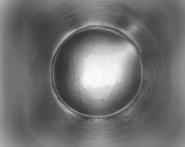 X0000067330903200604030930