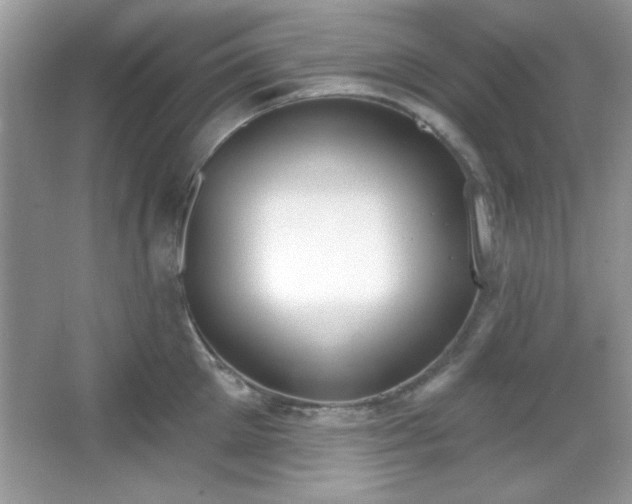 X0000067330905200604030930