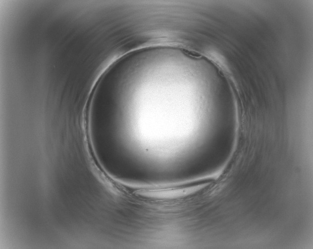 X0000067330907200604030930