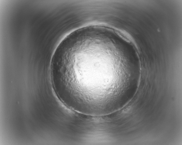 X0000067330911200604030930
