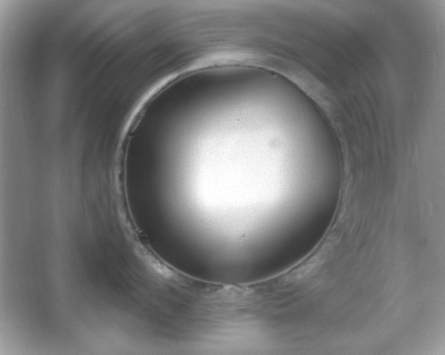 X0000067330912200604030930