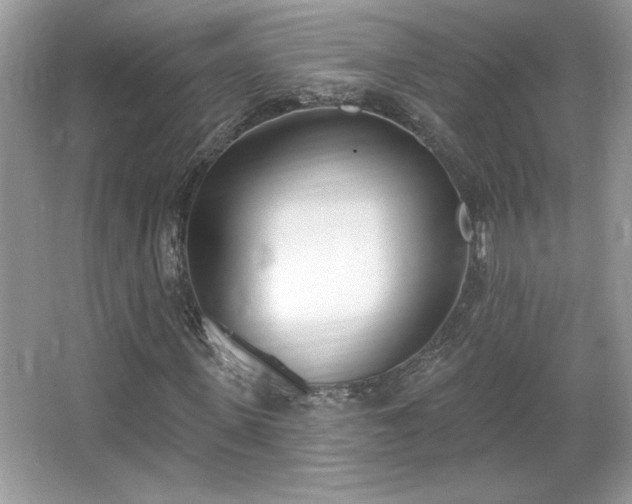 X0000067330915200604030929