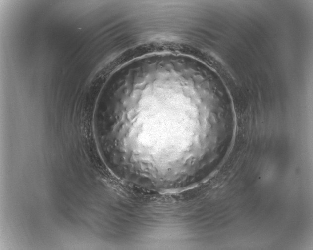 X0000067330919200604030929