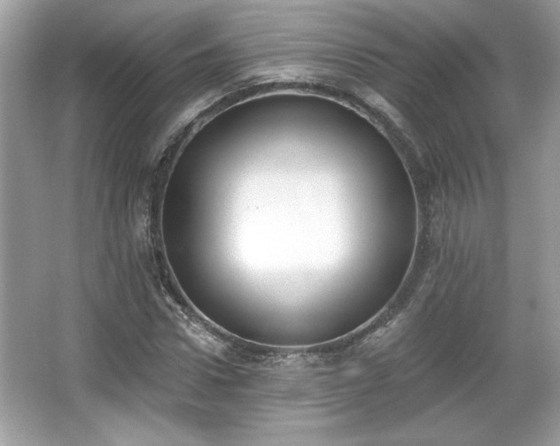 X0000067330922200604030929