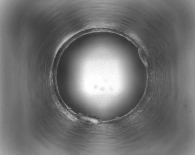 X0000067330928200604030929
