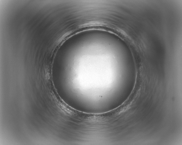 X0000067330929200604030929