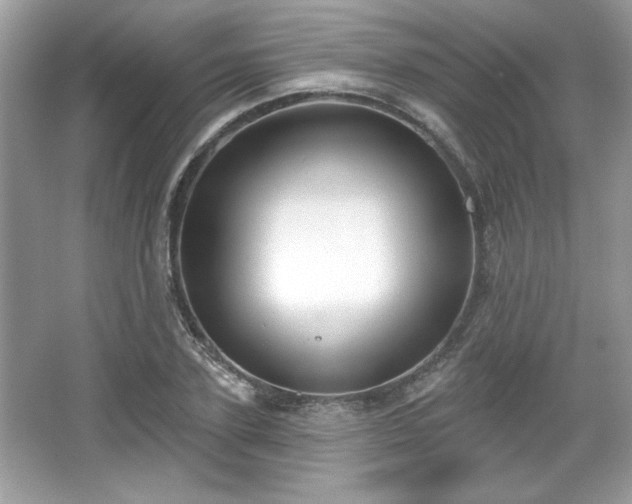 X0000067330931200604030929