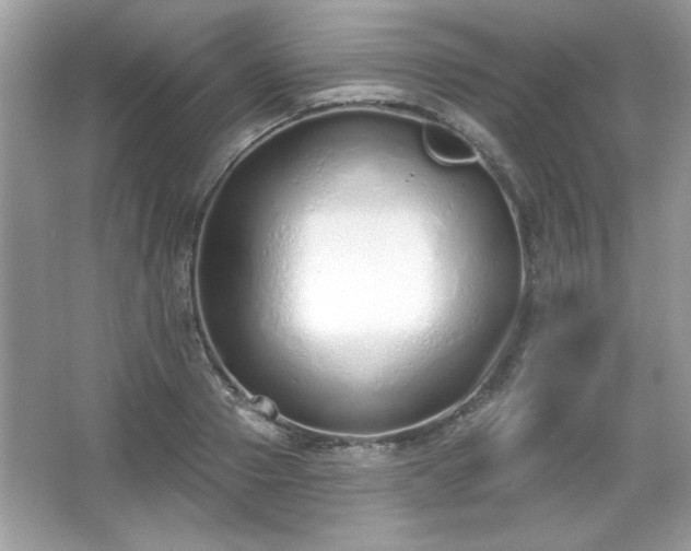 X0000067330937200604030929