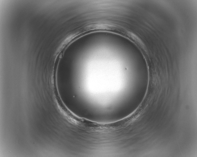 X0000067330938200604030929