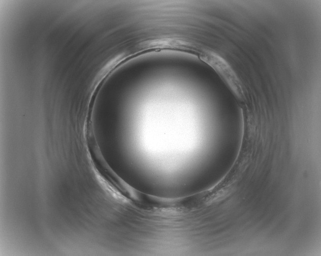 X0000067330946200604030930