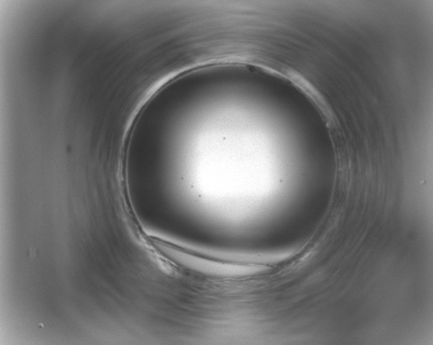 X0000067330956200604030930