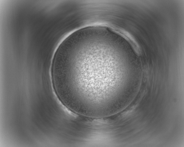 X0000067330959200604030930