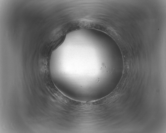 X0000067330964200604030929