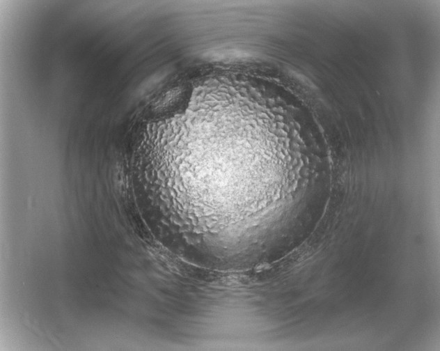 X0000067330966200604030929