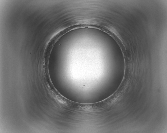 X0000067330971200604030929