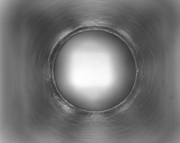 X0000067330974200604030929