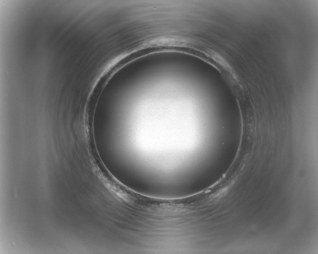 X0000067330981200604030929