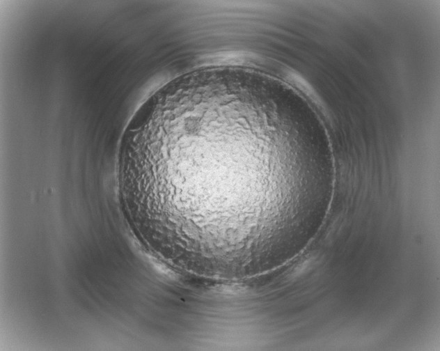 X0000067330994200604030928