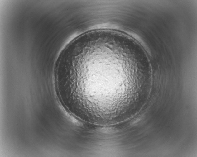 X0000067330998200604030928