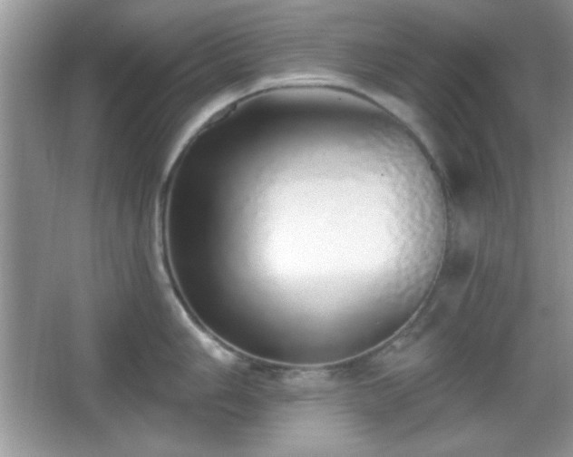 X0000067331006200604030928