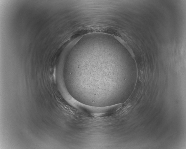 X0000067331010200604030927