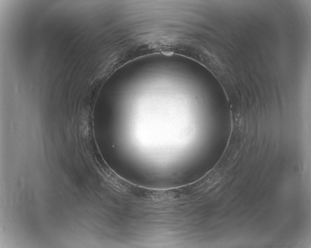 X0000067331012200604030927