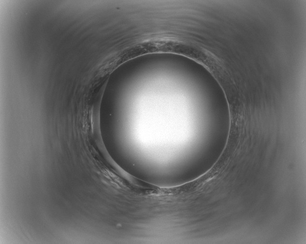 X0000067331014200604030927