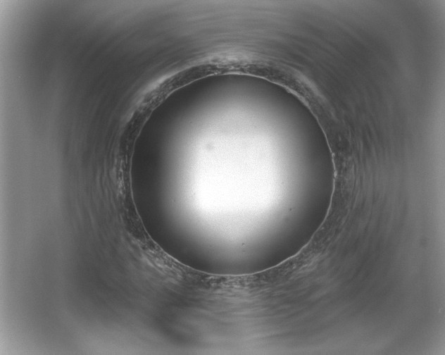 X0000067331016200604030927