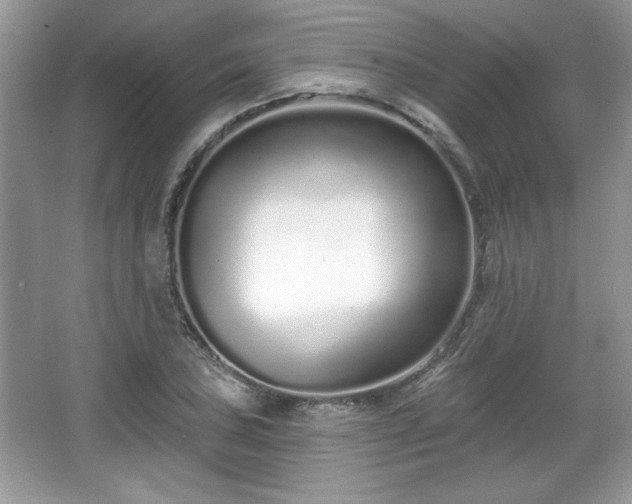 X0000067331027200604030928