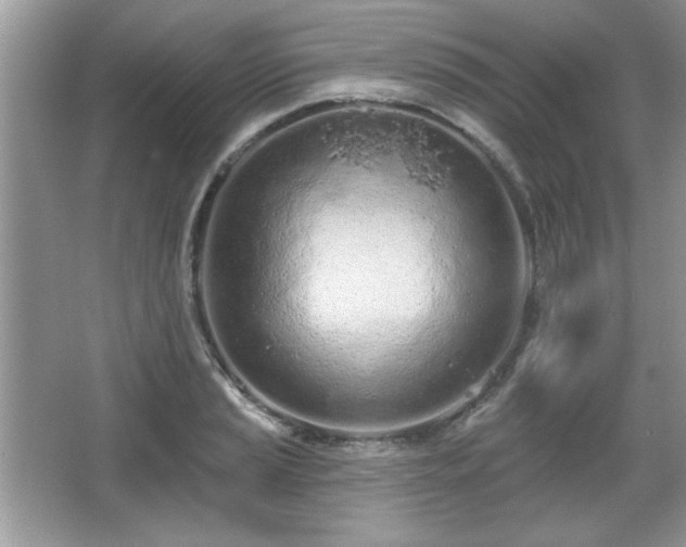 X0000067331037200604030928