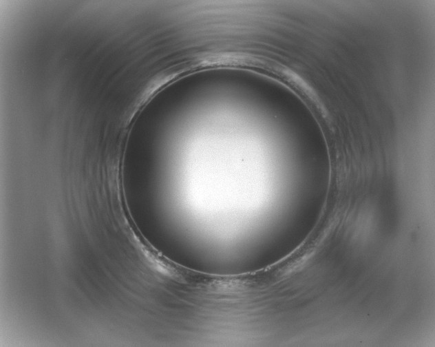 X0000067331041200604030928