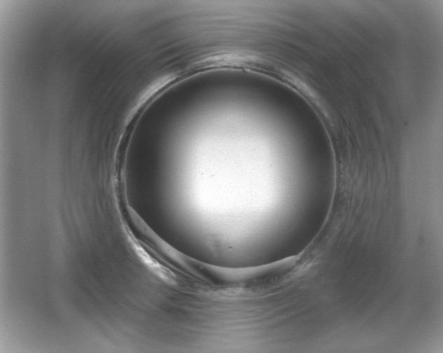 X0000067331042200604030928