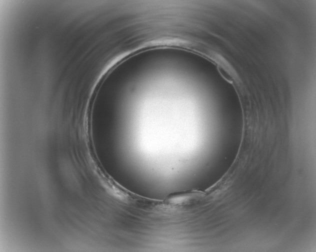 X0000067331044200604030928