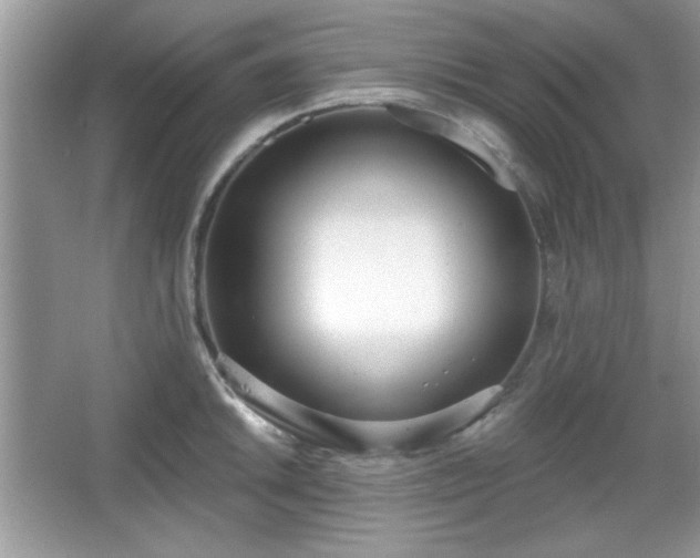 X0000067331046200604030928