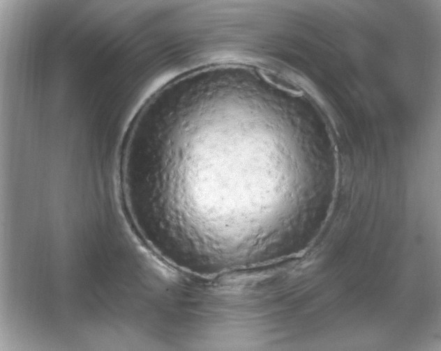 X0000067331048200604030928